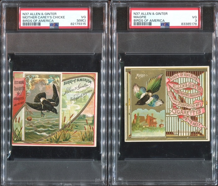 N37 Allen & Ginter Birds of America PSA-Graded Lot of (3) Cards