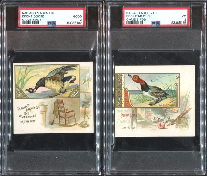 N40 Allen & Ginter Game Birds PSA-Graded Lot of (3) Cards
