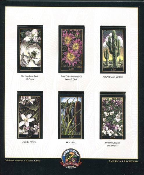 T-UNC 2006 R. J. Reynolds Tobacco America's Backyard Complete Set of (23) Cards With Companion Album