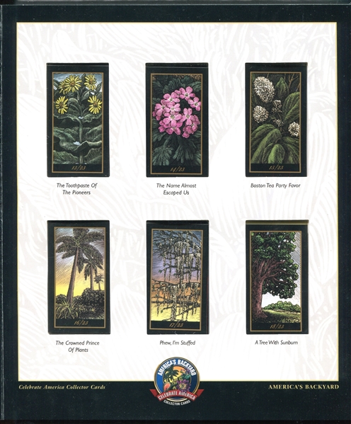 T-UNC 2006 R. J. Reynolds Tobacco America's Backyard Complete Set of (23) Cards With Companion Album