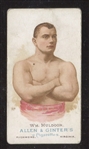 N28 Allen & Ginter Worlds Champions (Series I) Wrestler William Muldoon