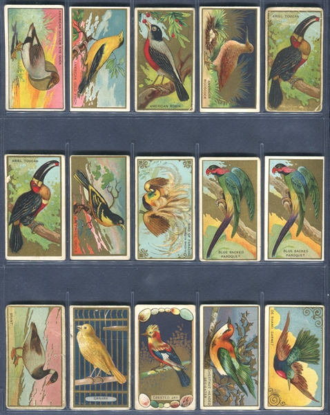 T42 Bird Series Mixed Back Complete Set of (100) With All Additional Back Variations (15)