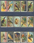 T42 Bird Series Mixed Back Complete Set of (100) With All Additional Back Variations (15)