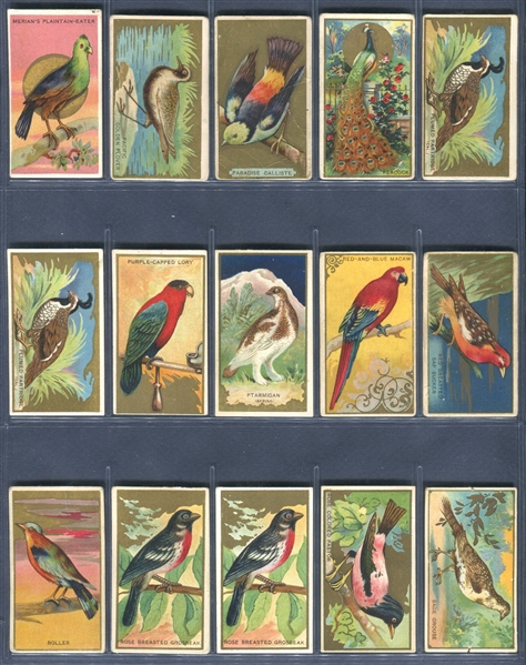 T42 Bird Series Mixed Back Complete Set of (100) With All Additional Back Variations (15)