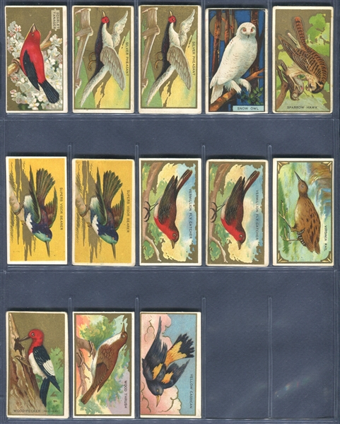 T42 Bird Series Mixed Back Complete Set of (100) With All Additional Back Variations (15)