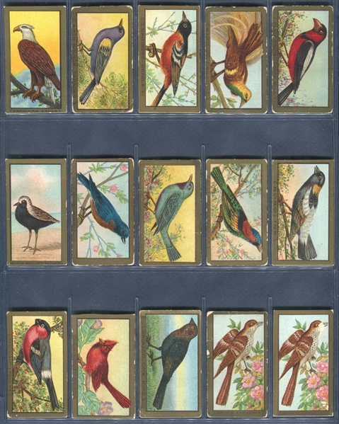 T42 Bird Series Mixed Back Complete Set of (100) With All Additional Back Variations (15)