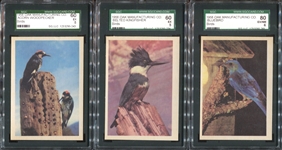 R724-2 Oak Premere Birds Lot of (25) SGC-Graded Cards