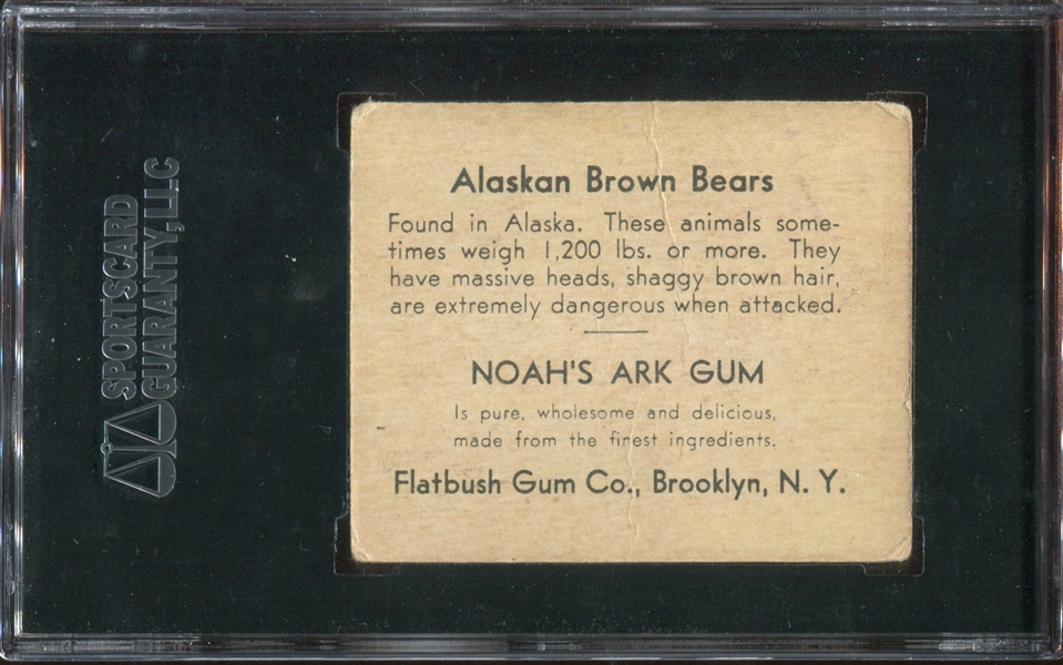 R100 Flatbush Gum Noah's Ark Alaskan Brown Bear SGC30