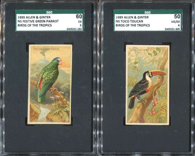 N5 Allen & Ginter Birds of the Tropics Lot of (2) SGC-Graded Cards