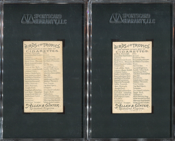 N5 Allen & Ginter Birds of the Tropics Lot of (2) SGC-Graded Cards