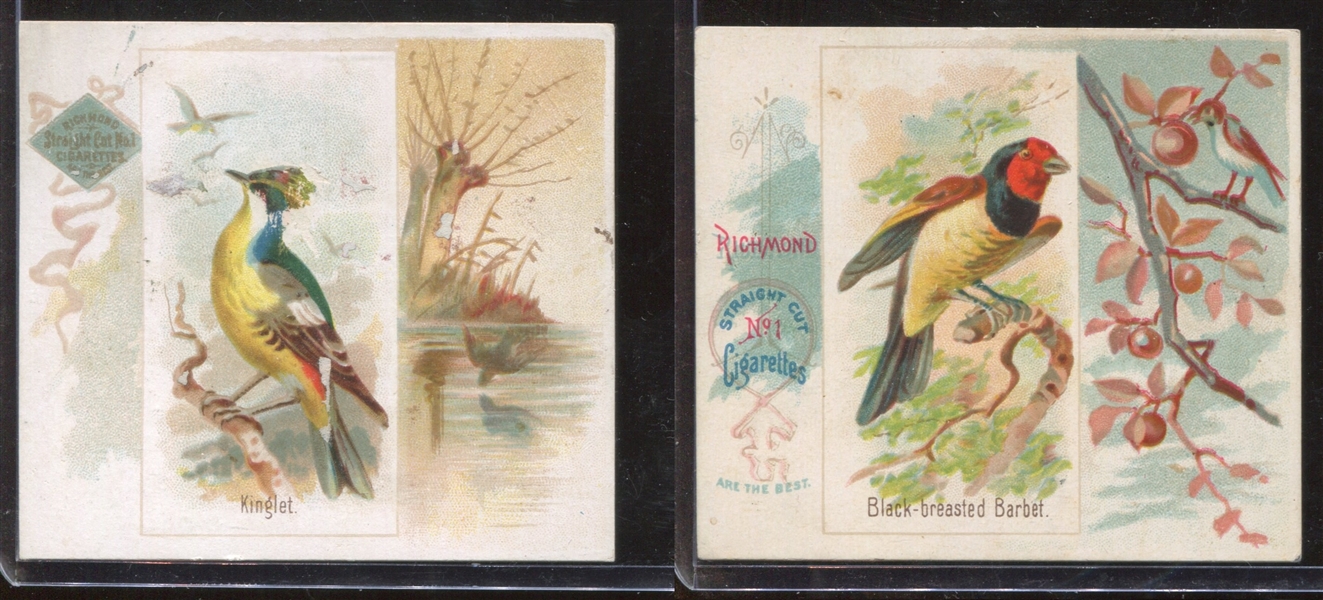 N42 Allen & Ginter Song Birds of the World Lot of (2) Cards