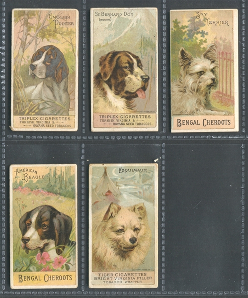 N375 Ellis Breeds of Dogs Lot of (5) Cards