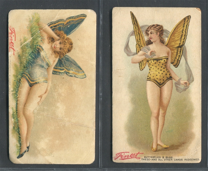 N282 D. Buchner Butterflies & Bugs Lot of (2) Cards