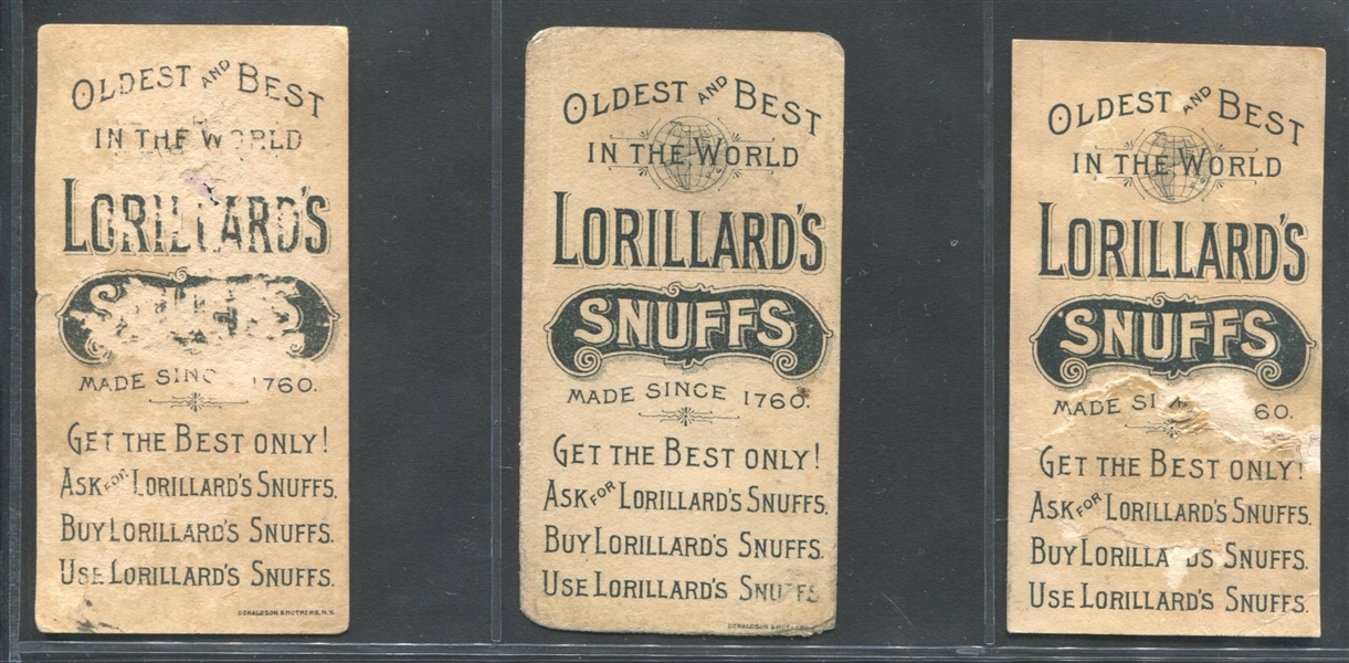 N257 P. Lorillard Beautiful Women Lot of (5) TOUGH Snuff Variations