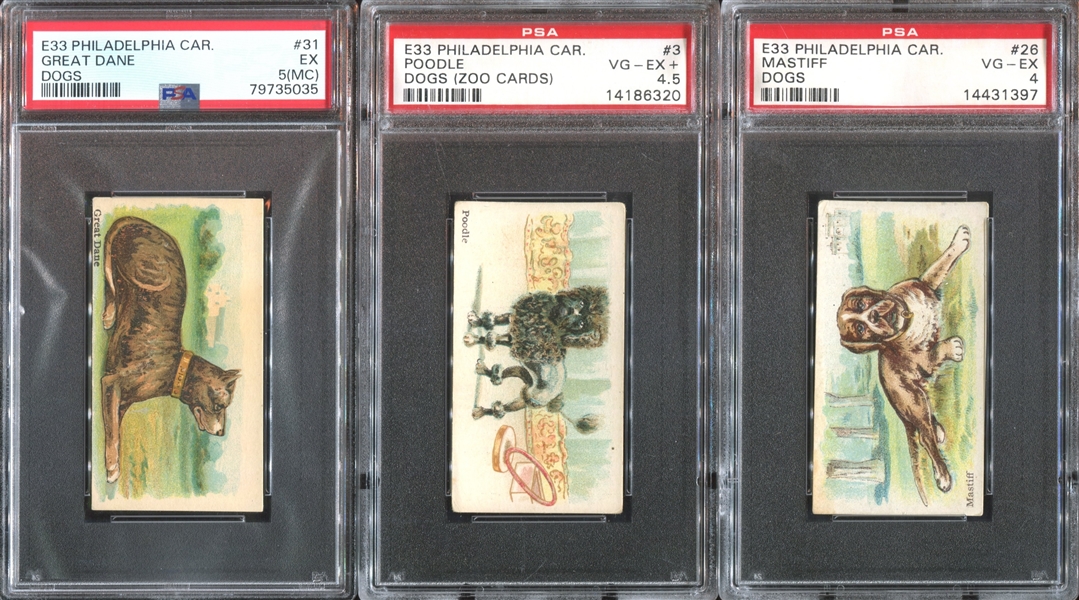 E33 Philadelphia Caramel Dog Pictures Complete PSA-Graded Set - #1 on the PSA Registry