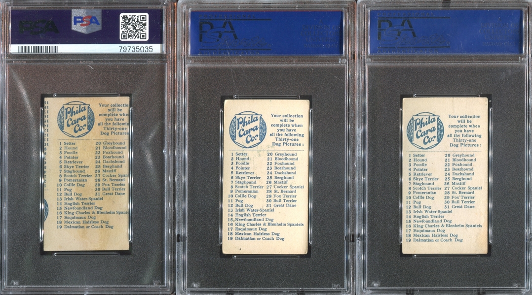 E33 Philadelphia Caramel Dog Pictures Complete PSA-Graded Set - #1 on the PSA Registry