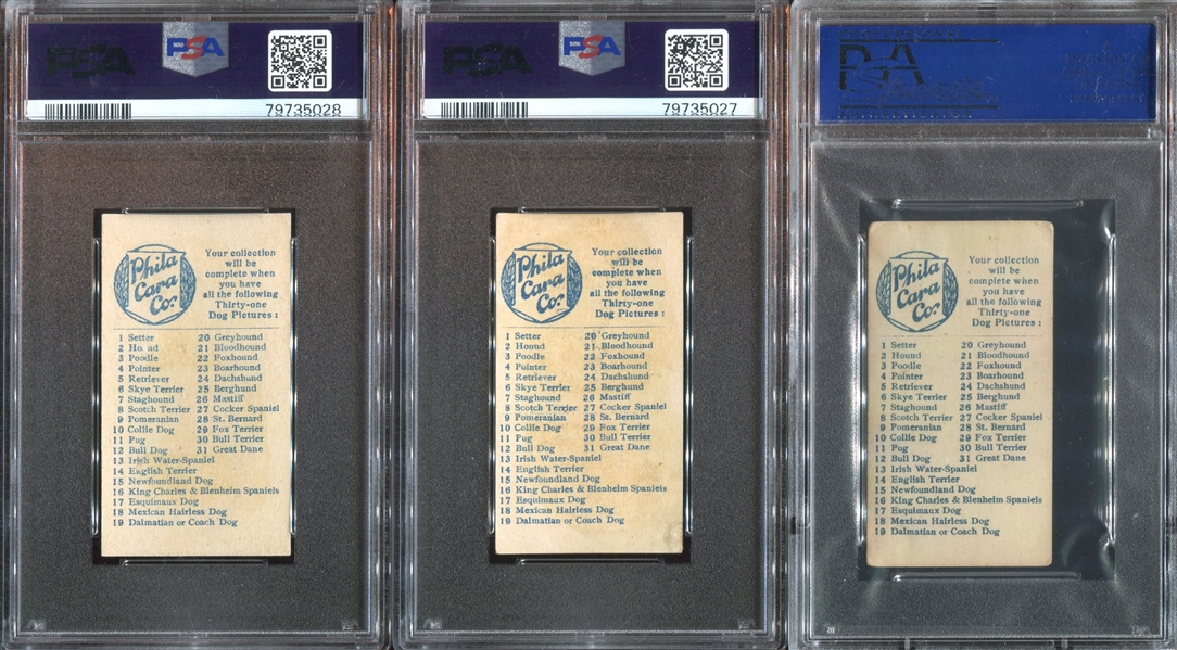 E33 Philadelphia Caramel Dog Pictures Complete PSA-Graded Set - #1 on the PSA Registry