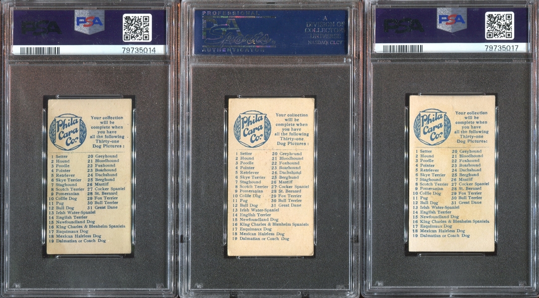 E33 Philadelphia Caramel Dog Pictures Complete PSA-Graded Set - #1 on the PSA Registry