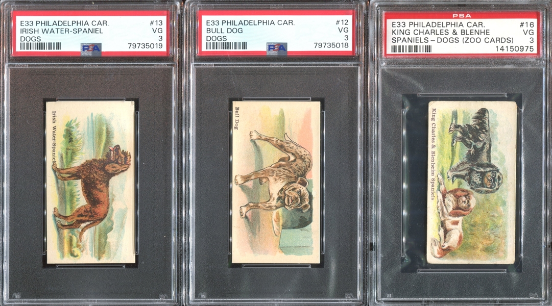 E33 Philadelphia Caramel Dog Pictures Complete PSA-Graded Set - #1 on the PSA Registry