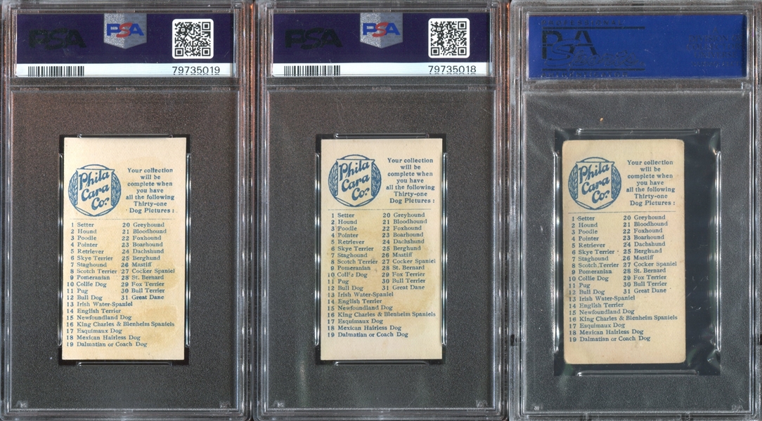 E33 Philadelphia Caramel Dog Pictures Complete PSA-Graded Set - #1 on the PSA Registry