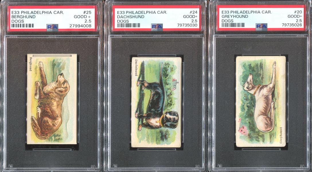 E33 Philadelphia Caramel Dog Pictures Complete PSA-Graded Set - #1 on the PSA Registry