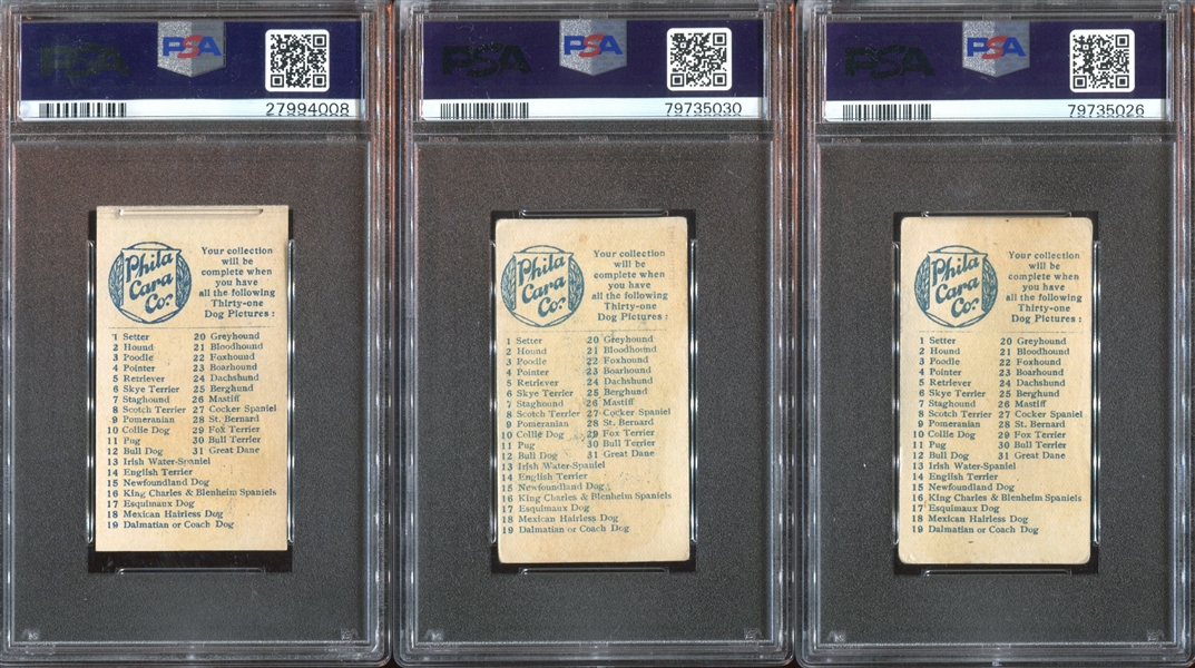 E33 Philadelphia Caramel Dog Pictures Complete PSA-Graded Set - #1 on the PSA Registry