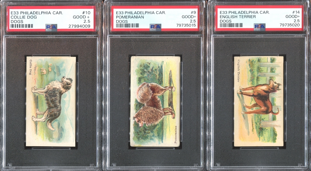 E33 Philadelphia Caramel Dog Pictures Complete PSA-Graded Set - #1 on the PSA Registry