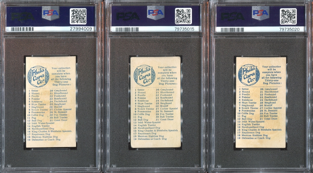 E33 Philadelphia Caramel Dog Pictures Complete PSA-Graded Set - #1 on the PSA Registry