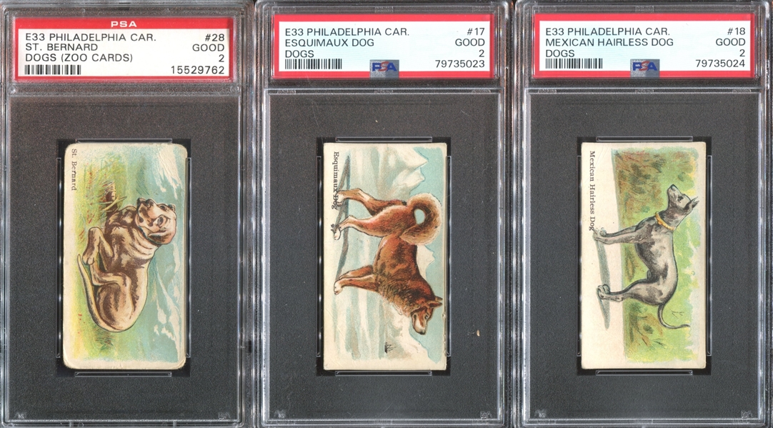 E33 Philadelphia Caramel Dog Pictures Complete PSA-Graded Set - #1 on the PSA Registry