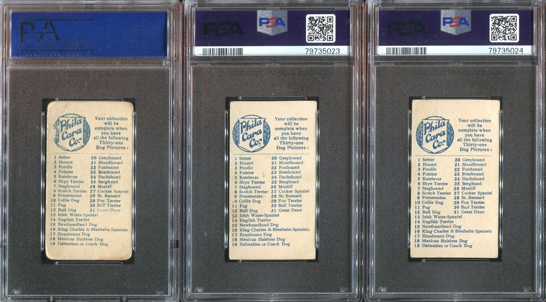 E33 Philadelphia Caramel Dog Pictures Complete PSA-Graded Set - #1 on the PSA Registry