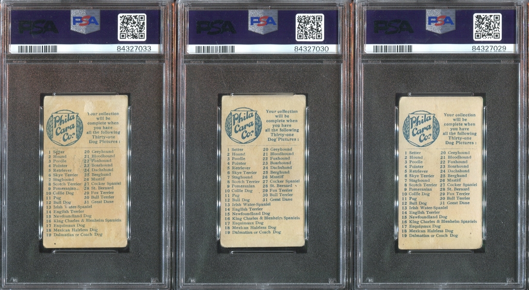 E33 Philadelphia Caramel Dog Pictures Complete PSA-Graded Set - #1 on the PSA Registry