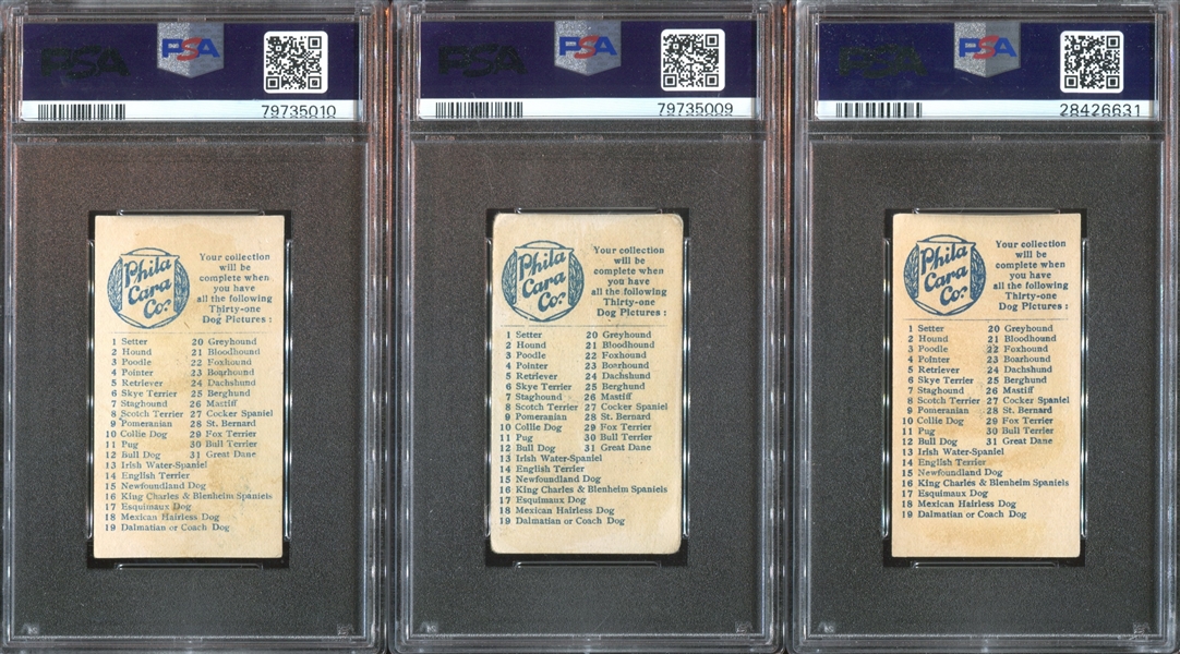 E33 Philadelphia Caramel Dog Pictures Complete PSA-Graded Set - #1 on the PSA Registry