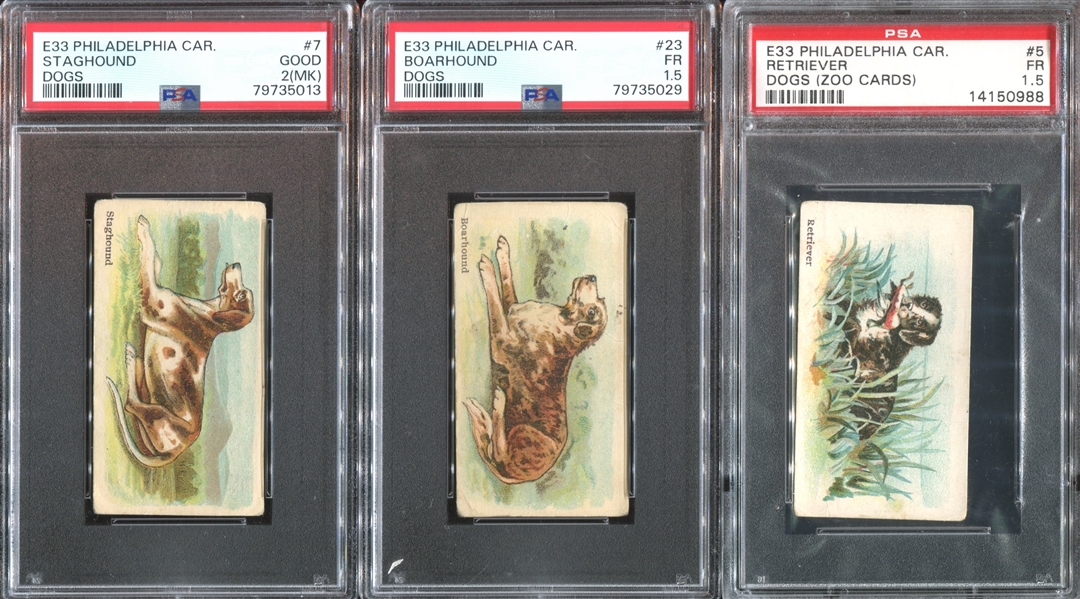 E33 Philadelphia Caramel Dog Pictures Complete PSA-Graded Set - #1 on the PSA Registry