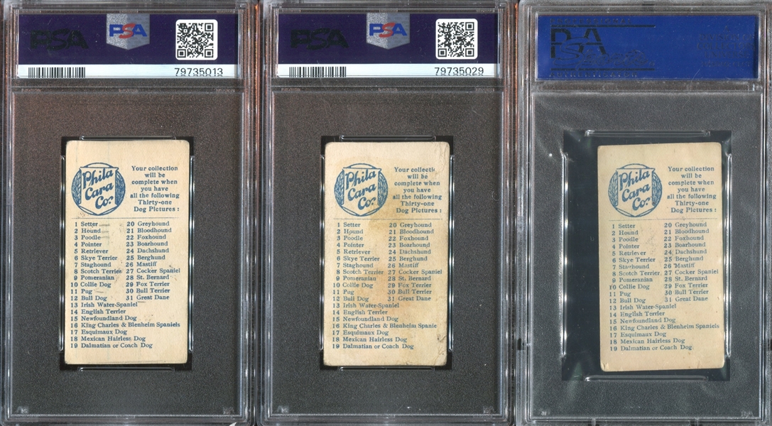 E33 Philadelphia Caramel Dog Pictures Complete PSA-Graded Set - #1 on the PSA Registry