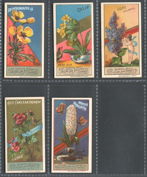 N366 Lone Jack Flowers Lot of (13) High Grade With (1) Unknown Brand Card