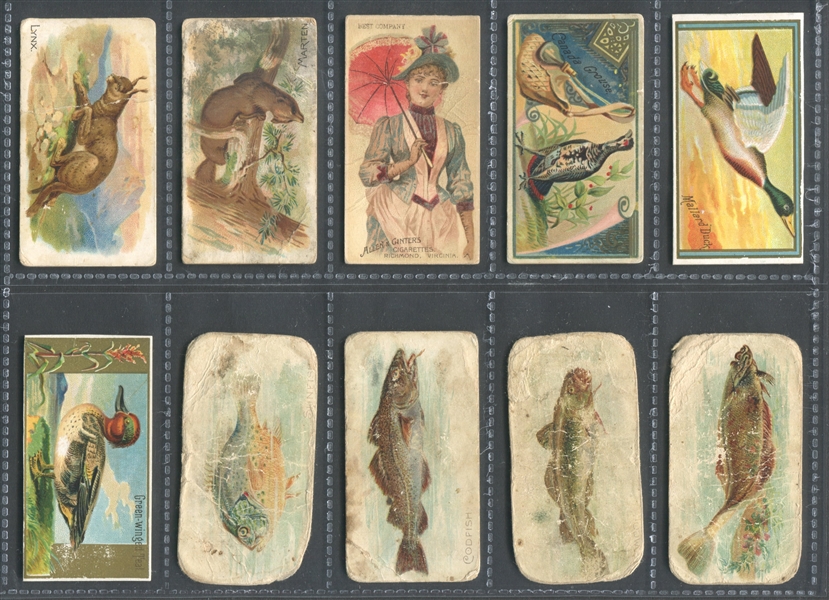 Mixed Lot of (28) Allen & Ginter N Cards