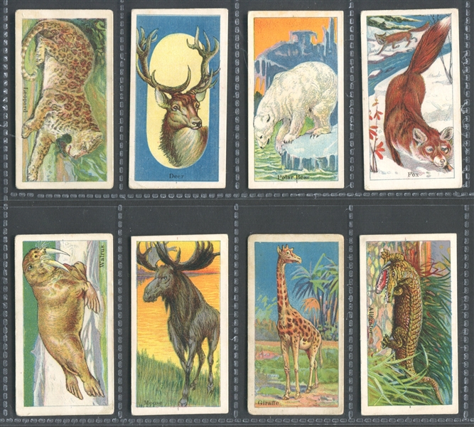 E26 Dockman Menagerie Gum Lot of (8) Higher Grade Cards