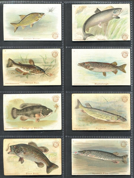 J15 Church & Dwight Fish Series Complete Set of (30) Cards