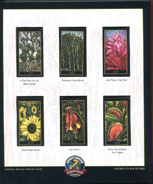 T-UNC 2006 R. J. Reynolds Tobacco America's Backyard Complete Set of (23) Cards With Companion Album