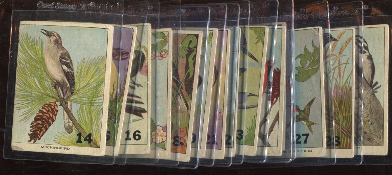 1930's Unbranded North American Bird Near Set of (50/54) Cards