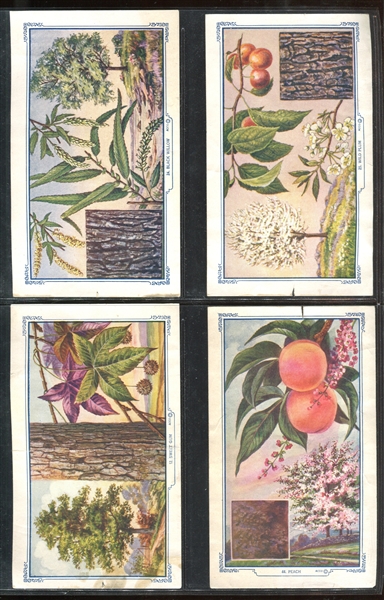 Mixed Lot of (15) Bread Company Cards