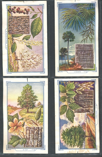 Mixed Lot of (15) Bread Company Cards