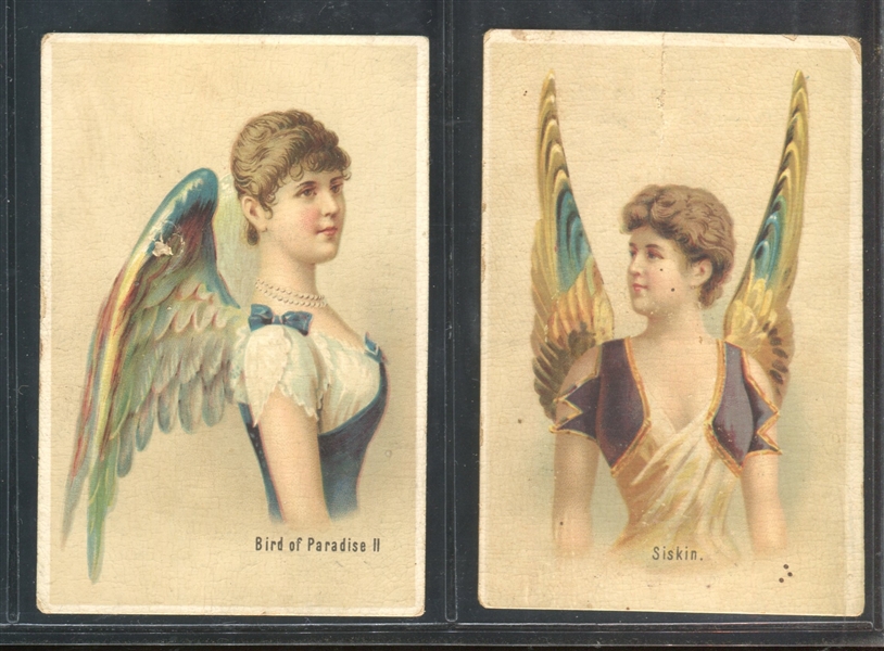 N312 Orphan Boy Tobacco Winged Birds of Plumage Lot of (2) Cards