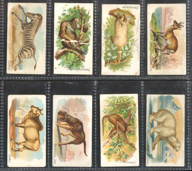 N21 Allen & Ginter Quadrupeds Lot of (8) Cards