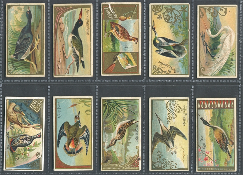 N13 Allen & Ginter Game Birds Lot of (39) Different Cards