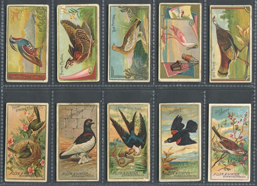 N13 Allen & Ginter Game Birds Lot of (39) Different Cards