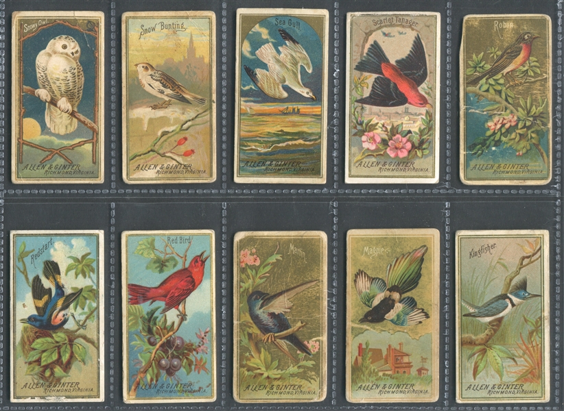 N13 Allen & Ginter Game Birds Lot of (39) Different Cards