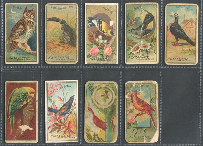 N13 Allen & Ginter Game Birds Lot of (39) Different Cards