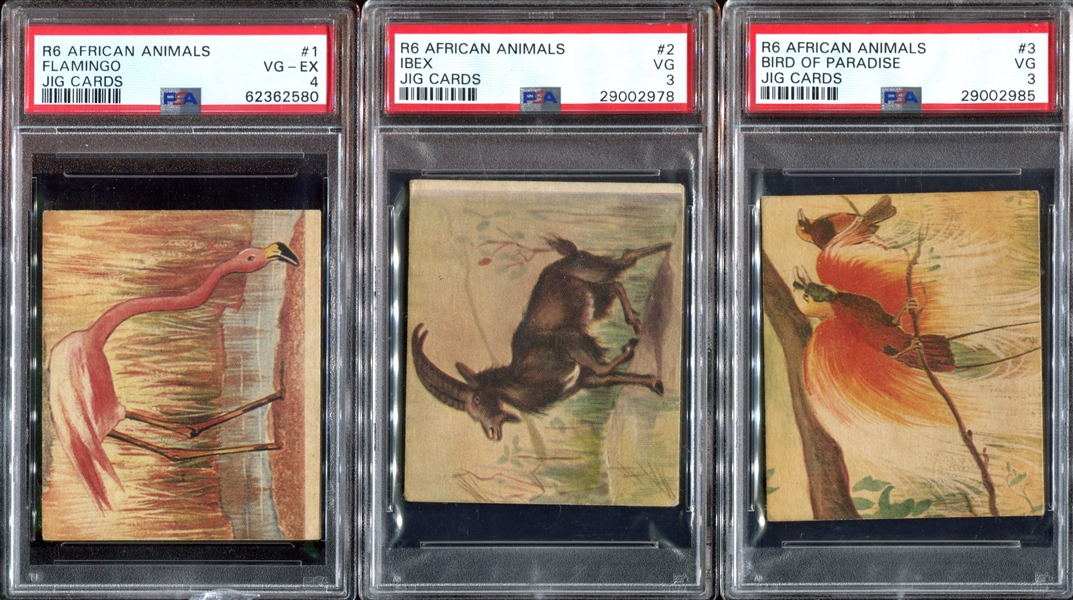 R6 National Licorice African Animal Jig Complete (24) Card PSA-Graded Set - Currently #4