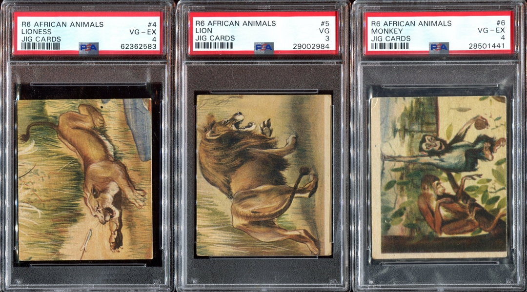 R6 National Licorice African Animal Jig Complete (24) Card PSA-Graded Set - Currently #4